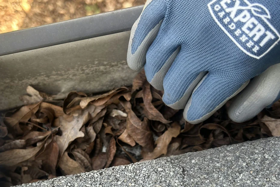 Gutter Cleaning Marco Island FL