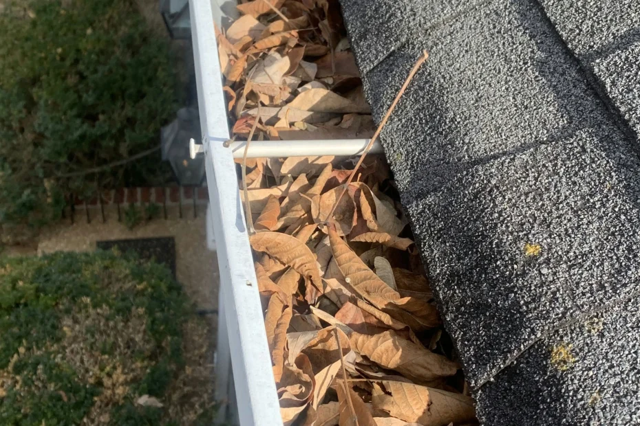 Gutter Cleaning Marco Island FL